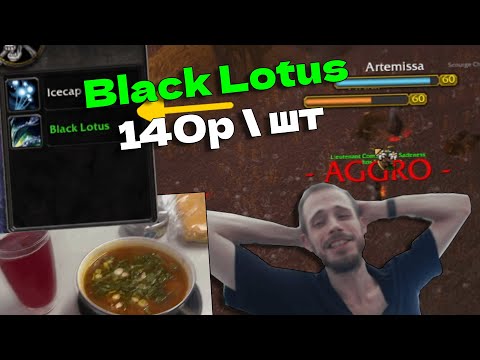 Видео: WoW Кормит: Битва за Черный Лотос