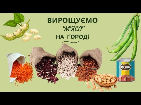 Видео: Як виростити "рослинне м'ясо" на власному городі