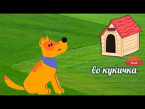 Видео: Животни и нивните живеалишта / Каде живеат животните?