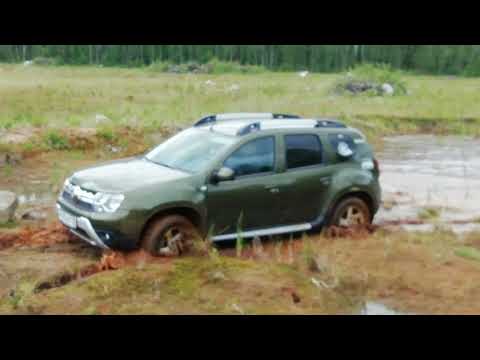 Видео: Дастер в стоке, может много!