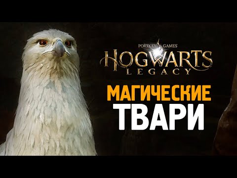 Видео: ФАНТАСТИЧЕСКИЕ ТВАРИ - HOGWARTS LEGACY #8