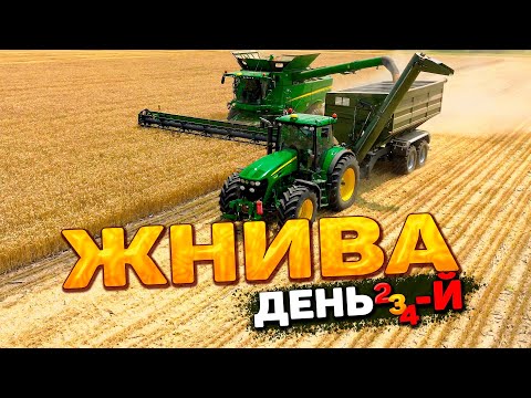 Видео: Жнива набрали обертів✅ MAN в роботі💪 Спалив пшеницю⁉️