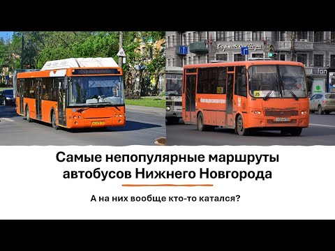 Видео: Самые непопулярные маршруты автобусов в Нижнем Новгороде #нижнийновгород #автобус