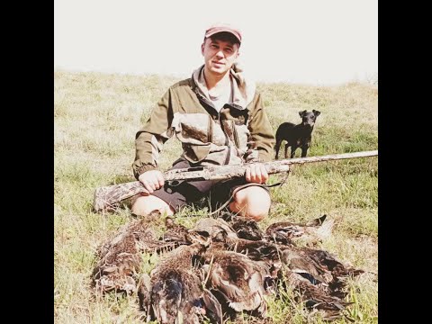 Видео: ПЛОВ ИЗ ДИКОЙ УТКИ ..... ОХОТА НА ВОДОПЛАВАЮЩИХ