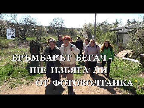 Видео: БРЪМБАРЪТ БЕГАЧ - ЩЕ ИЗБЯГА ЛИ ОТ ФОТОВОЛТАИКА