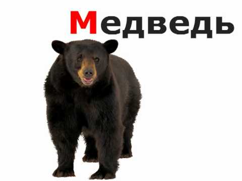 Видео: Учим алфавит для самых маленьких. "Животные"
