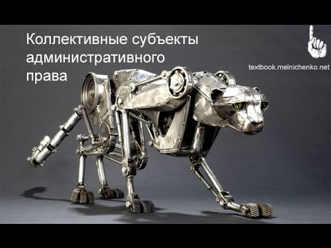 Видео: Коллективные субъекты административного права