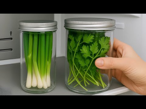 Видео: Секрет хранения петрушки и зелёного лука на целый год. Прямо от шеф-повара 5 звёзд.