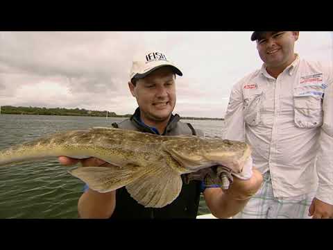 Видео: IFISH Flathead на мягком пластике Squidgy