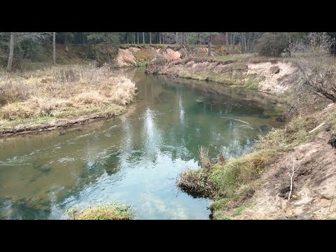 Видео: Поход вдоль Ислочи. Осмотр туристических стоянок.
