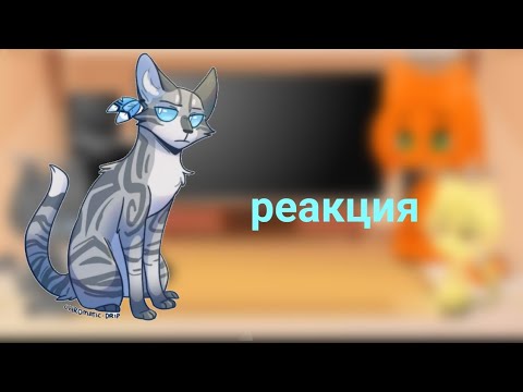 Видео: Коты-воители из прошлого реакция на огонь Уголька