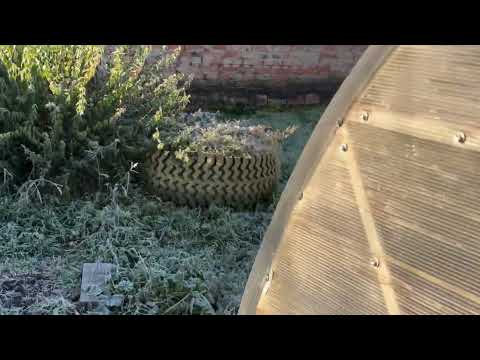 Видео: Табак и осень 