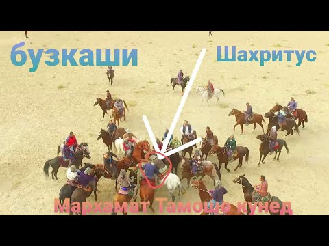 Видео: Бузкаши дар Нохияи шахритус