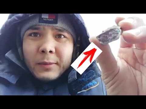 Видео: Қалай ақша табуға болады /#табыс/