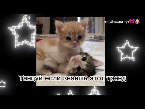 Видео: 🙇🏼‍♀️Танцуй если знаешь этот тренд💋(2024)