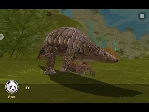 Видео: История часть 2