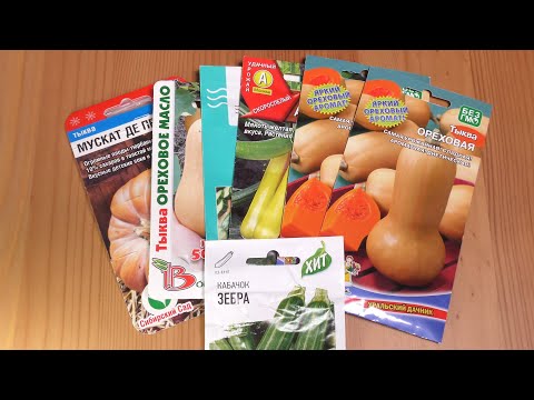 Видео: Семена на 2022 год: Кабачки и тыквы