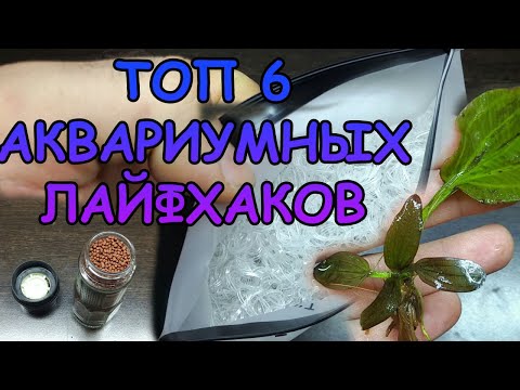 Видео: ТОП 6 АКВАРИУМНЫХ ЛАЙФХАКОВ. Часть 5