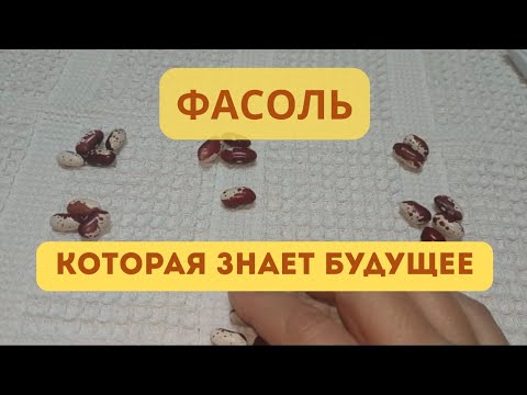 Видео: Кумалак.Что сейчас происходит.