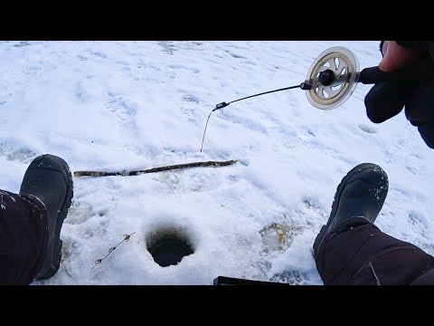 Видео: ТОЛЬКО ОПУСТИЛ безмотылку НА СТРУЮ, КАК КИВОК ВНИЗ . Рыбалка на малой реке зимой в 2024