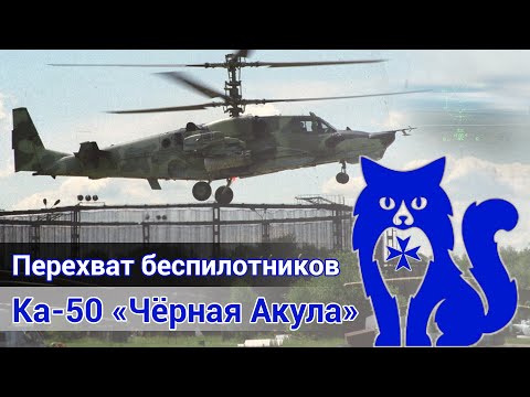 Видео: Ка-50 Чёрная Акула - Перехват беспилотников (DCS World)