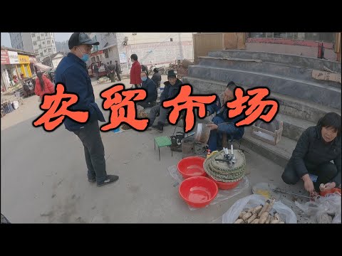 Видео: Печеная кровь и красная морковь: идем закупаться на китайский рынок