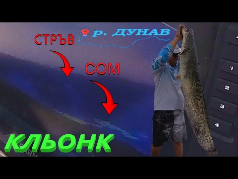 Видео: ПОРЕДНИЯТ СОМ на КЛЬОНК ! СЕЗОН 25 Река ДУНАВ ! CATFISHING : WITH CLONK ! Danube River!
