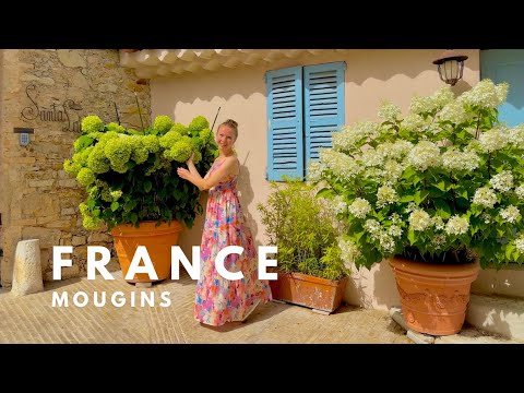 Видео: 🇫🇷Франция.Мужен-великолепный город в Провансе. #Mougins #france #мужен #франция #прованс #provance