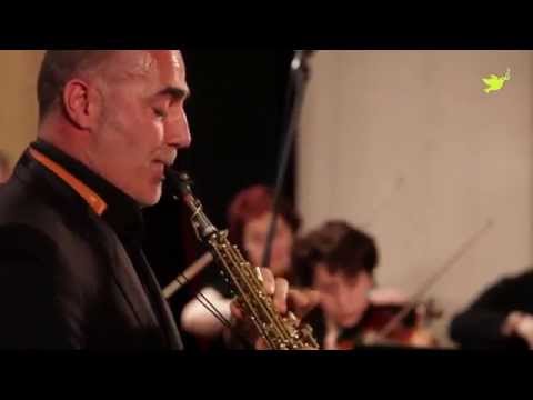 Видео: Jean-Denis Michat - Tomaso Vitali Сhaconne