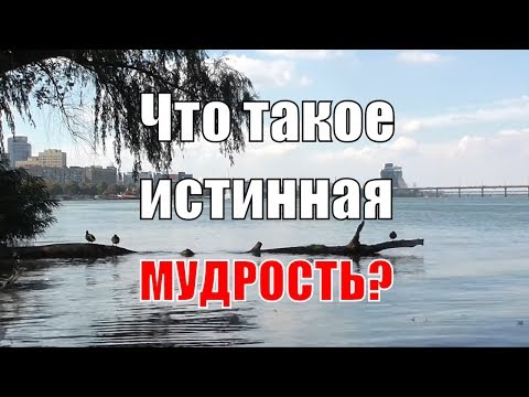 Видео: Истинная мудрость: разгадка, которую вы не ожидали!