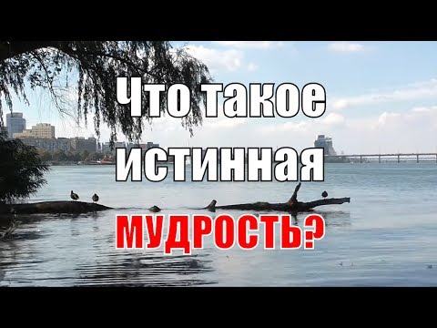 Видео: Что такое истинная мудрость?