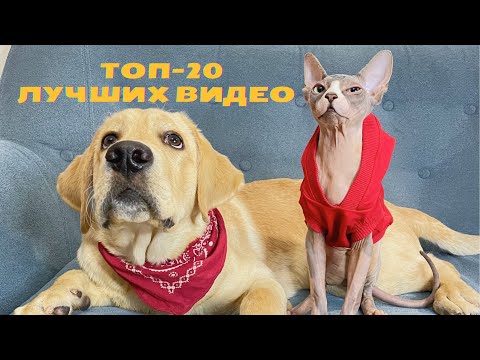 Видео: Лучшие видео с Дени и Мэни 🔥 ТОП 20