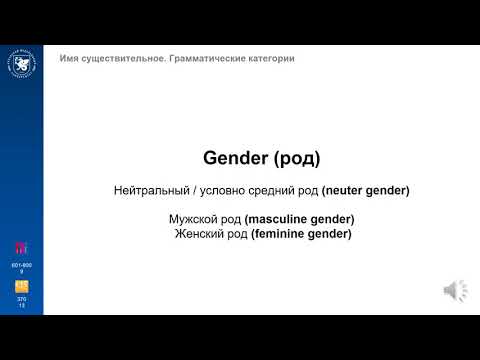 Видео: Лекция 1 Часть 2. Имя Существительное. Грамматические  категории