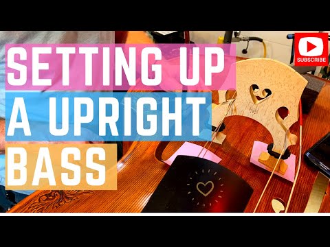 Видео: НАСТРОЙКА КОНТРАБАСА