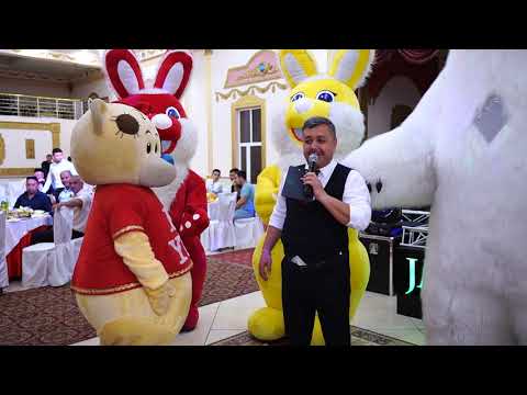 Видео: Ayiqlar bomba raqsda charchab qoldi, doira bazm #ayiqlar #quyon #Танцующие #Мишки #katta #Teddy