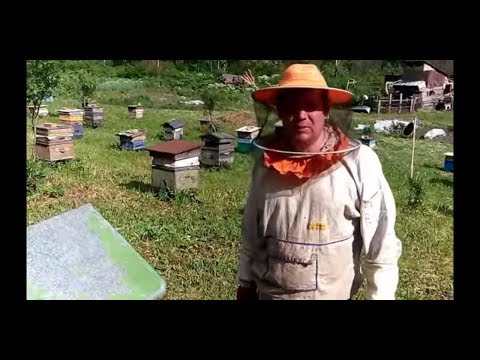 Видео: Противороевые мероприятия.Самый быстрый способ.