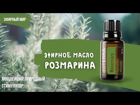 Видео: 🌿Розмарин - эфирное масло | Идеальное средство для роста волос и жизненных сил