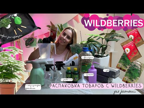 Видео: РАСПАКОВКА ТОВАРОВ для растений С WILDBERRIES / Скучные, но нужные штуки для ухода за цвяточкам