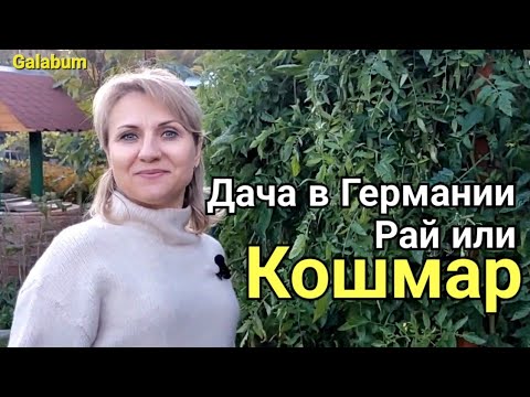 Видео: Дача в Германии Рай или Кошмар. @galabum