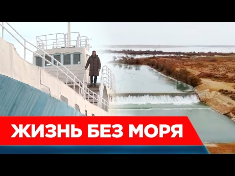Видео: Вернётся ли к нам Арал? Как возрождают высохшее море и людские надежды | Спецпроект