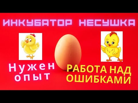 Видео: Инкубатор НЕСУШКА с вентиляторами, есть проблемы, работа над ошибками, набираемся опыта