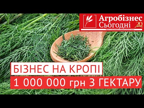 Видео: Вирощування кропу як бізнес у 2025 році