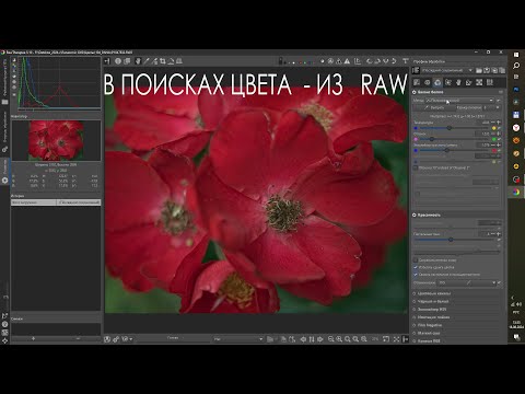 Видео: Ищем Цвет в 5ти RAW Конверторах !!!