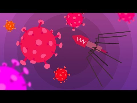 Видео: Защита от компьютерных вирусов [GeekBrains]