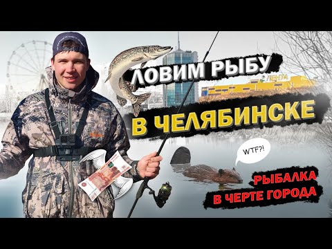Видео: Прогулка со спиннингом. Река Миасс. Куница, бобер. Обрывы на 5 тысч.