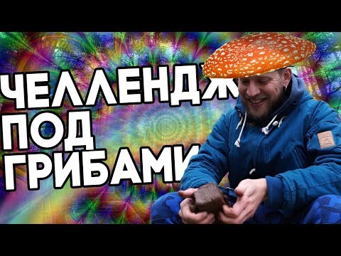 Видео: Грибы! Опасный кулинарный эксперимент! Поход в лес!