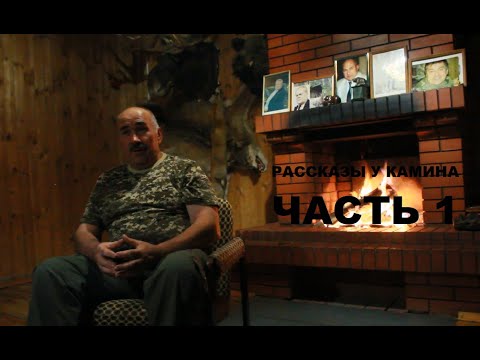 Видео: Ответы на вопросы подписчиков. Почему большая очередь на собак, как выбрать и воспитать щенка