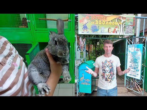 Видео: Экскурсия по зоопарку, город Ангарск, 64-й квартал, строение 1