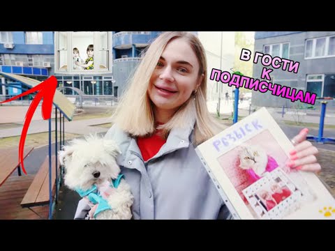 Видео: ЕДЕМ В ГОСТИ К ПОДПИСЧИЦАМ С БИЛЛИ И СЛАДЕЙ | ИЩЕМ ДЕВОЧЕК ПО ПРОСЬБЕ КОТА КЕВИНА