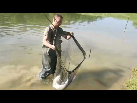 Видео: Приятелско състезание яз "Палици"